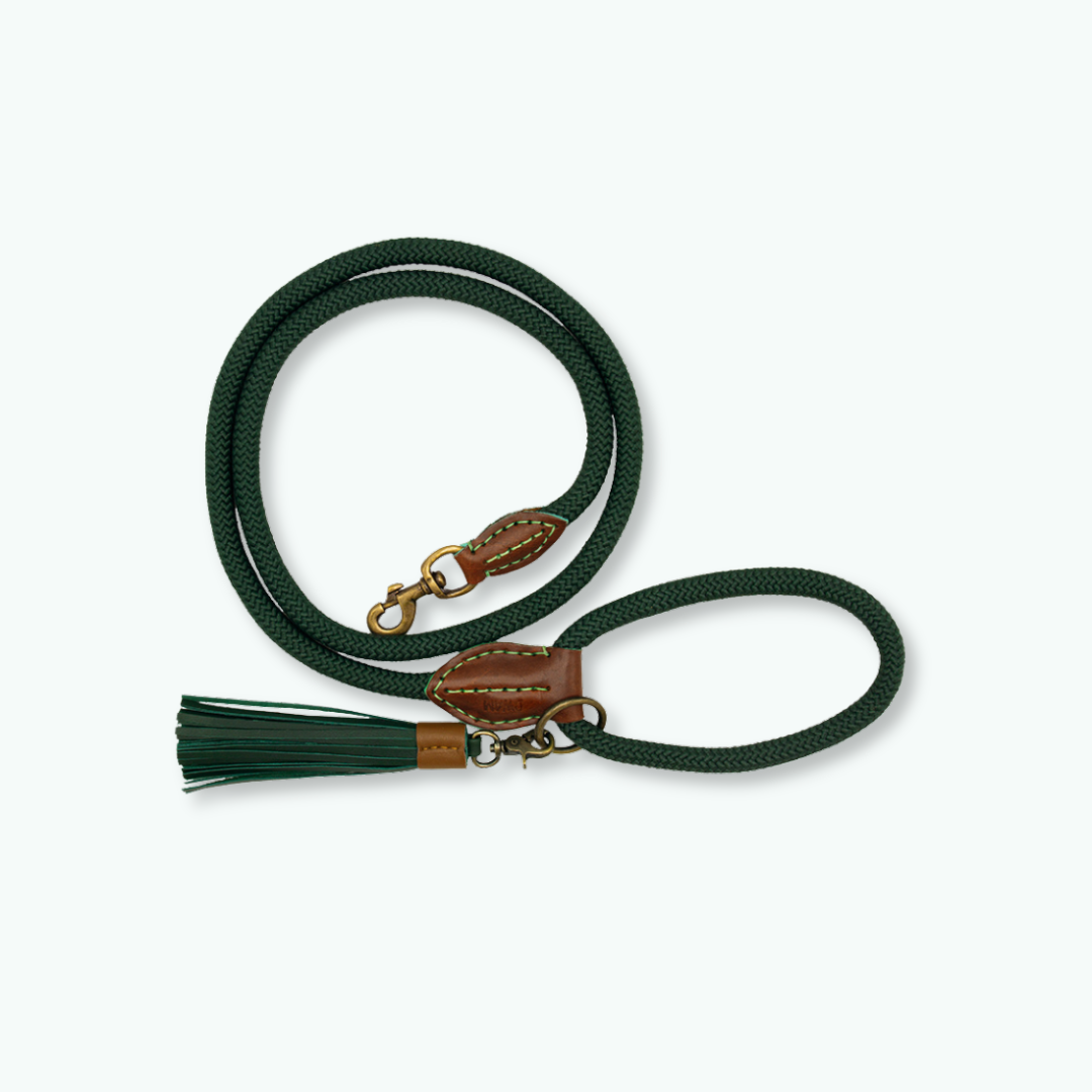Dog with a Mission Bowie Guinzaglio cane L verde 155 cm pelle