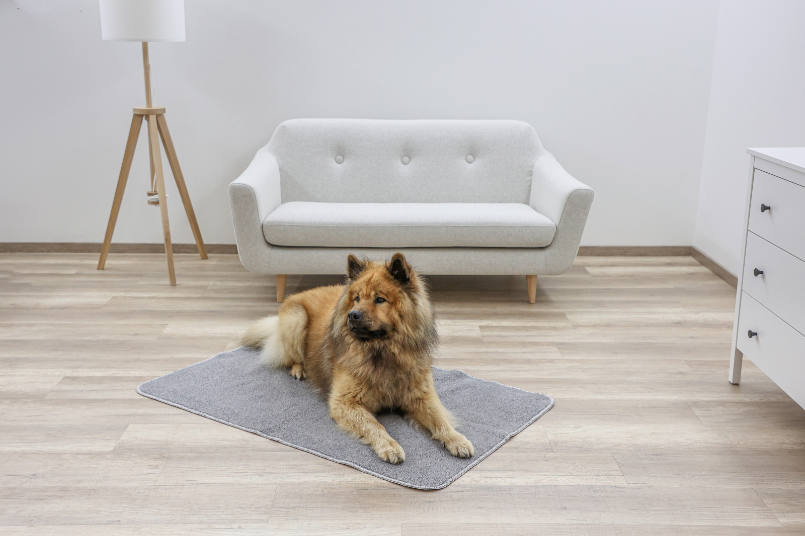 Kerbl Dog Rest Places tappeto termico antiscivolo cane caldo