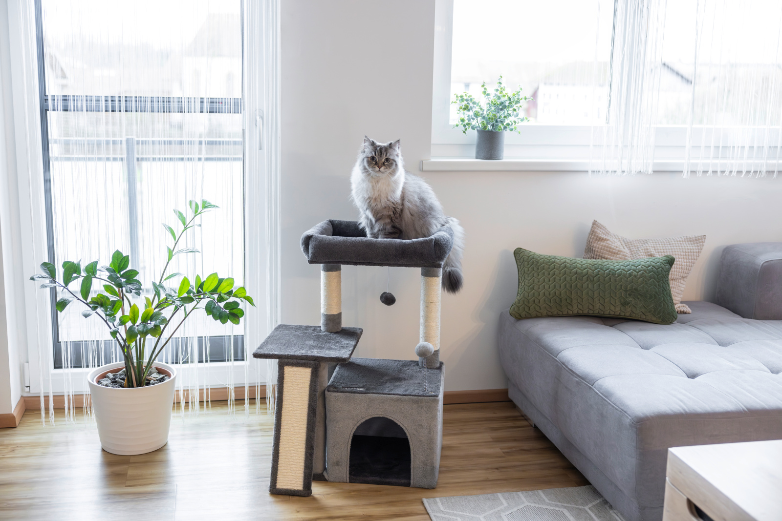Kerbl Rosalie Albero Tiragraffi Gatto con Grotta in Sisal