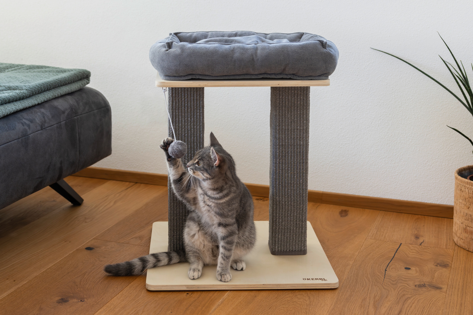 Kerbl Pet Cat Scratch Noah I tiragraffi con cuccia