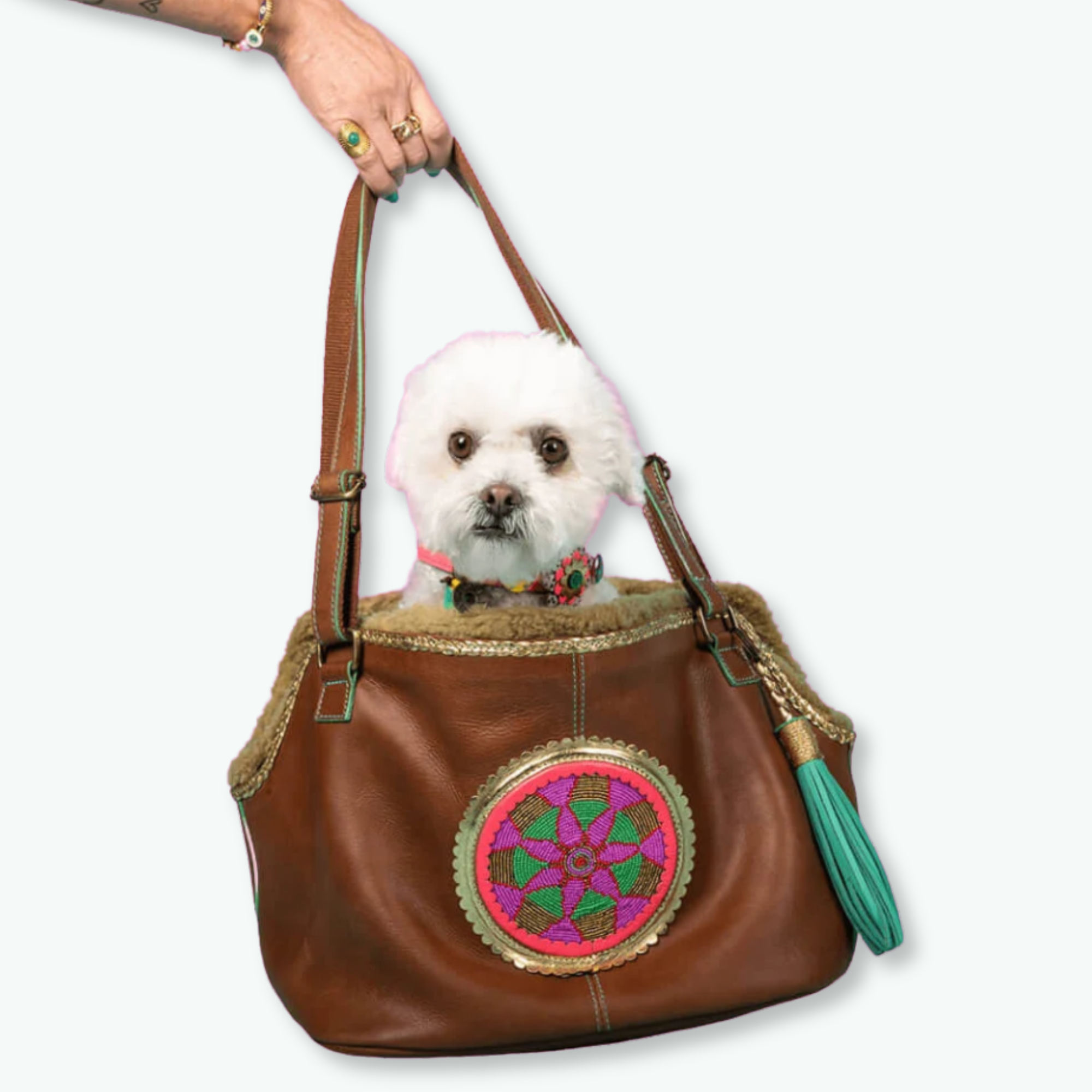Dog with a Mission Bonita Borsa Cane Pelle 8 Kg Teddy