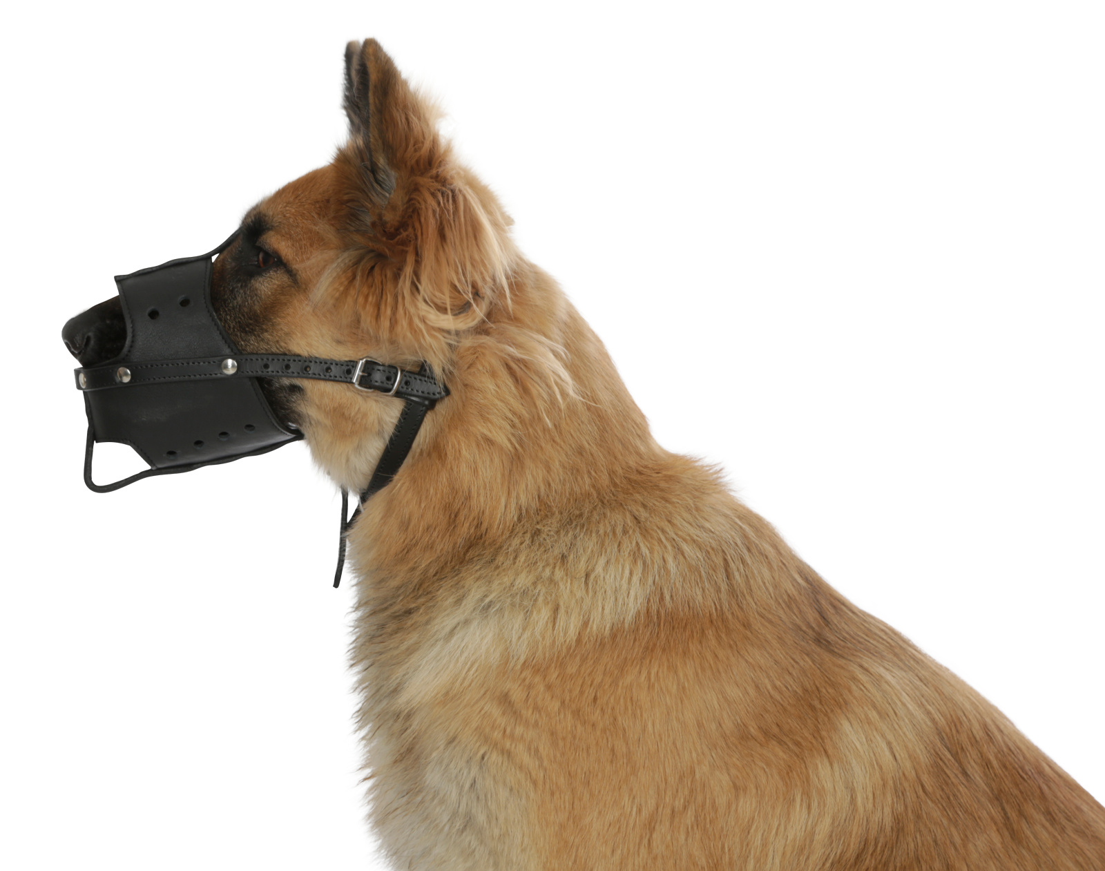 Kerbl Pet Muzzle Leather museruola cane in cuoio
