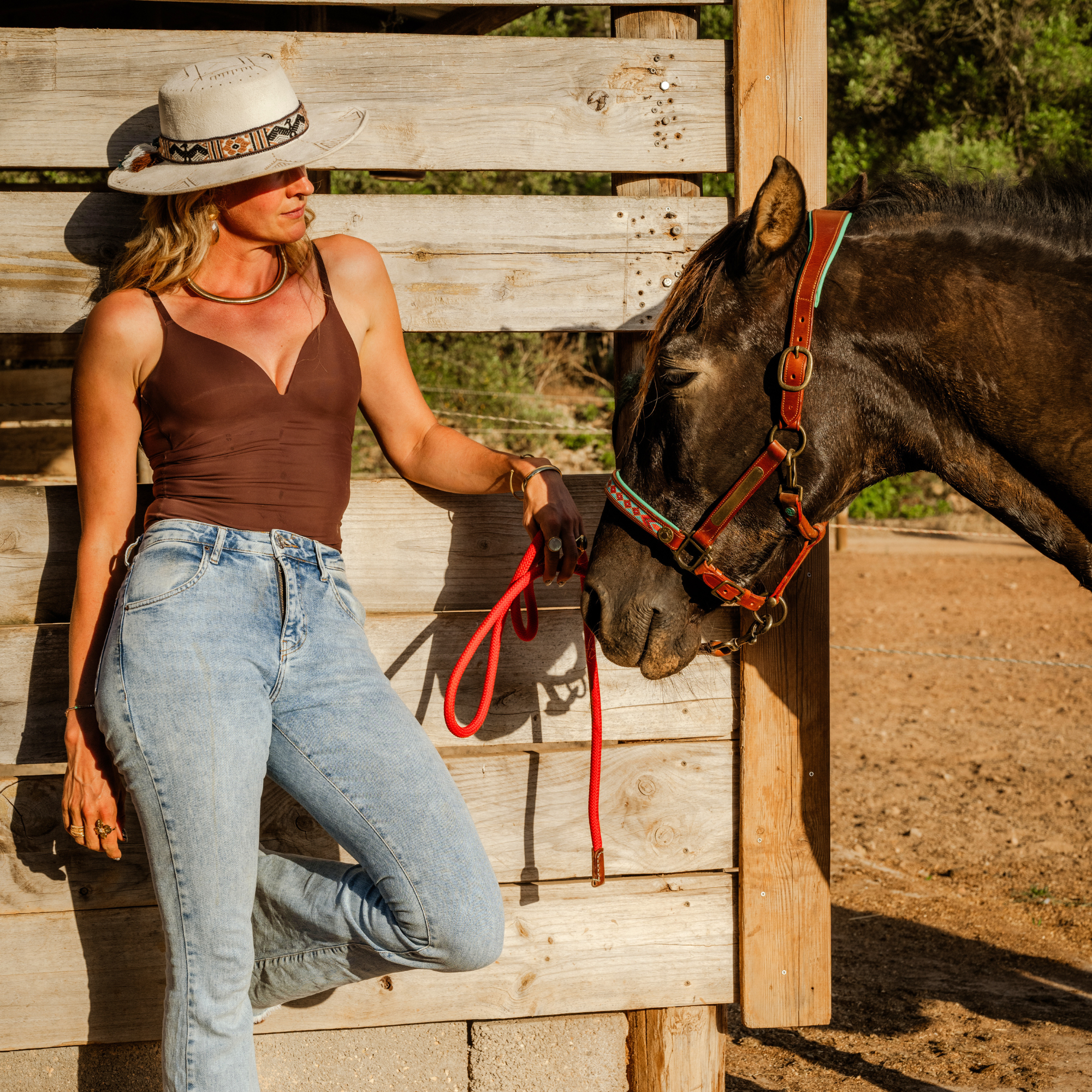 Dog with a Mission Paddy Lee Cavezza cavallo Cob pelle marrone