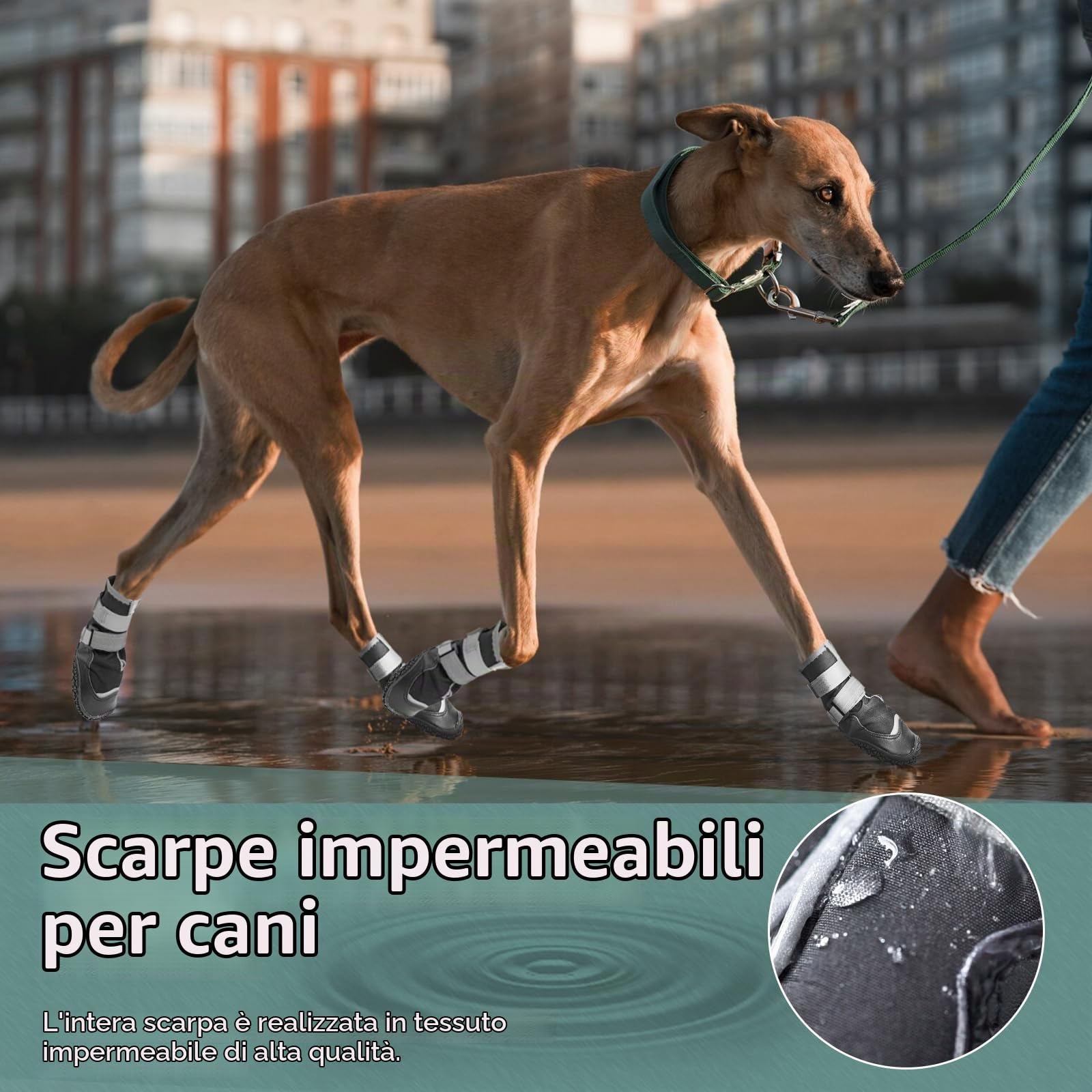 OHCOZZY Scarpette Cane L Nere Impermeabili 4 Pezzi
