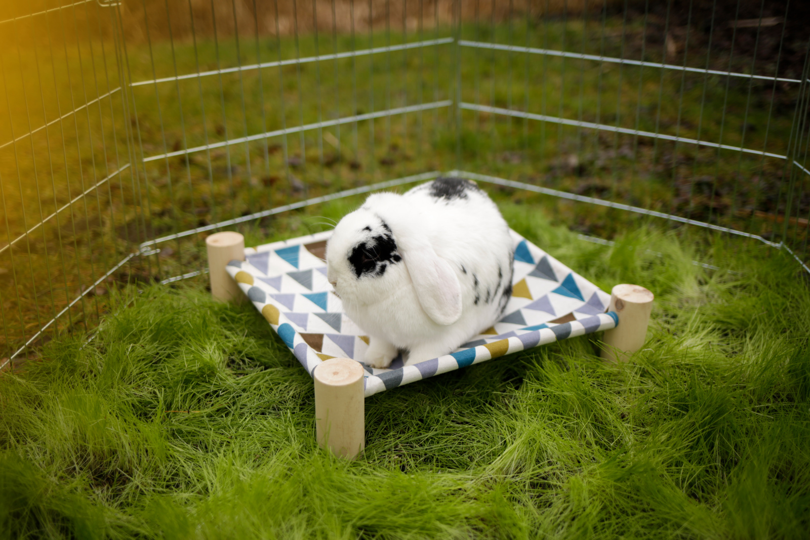 Kerbl Pet Hammock amaca roditori legno e tela lavabile