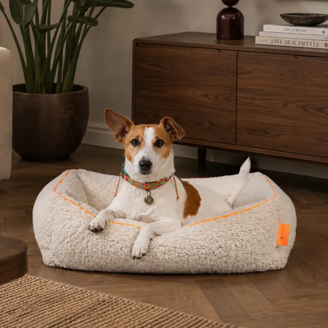 Dog with a Mission Ibiza Dream cuccia cane teddy S 55x70 cm