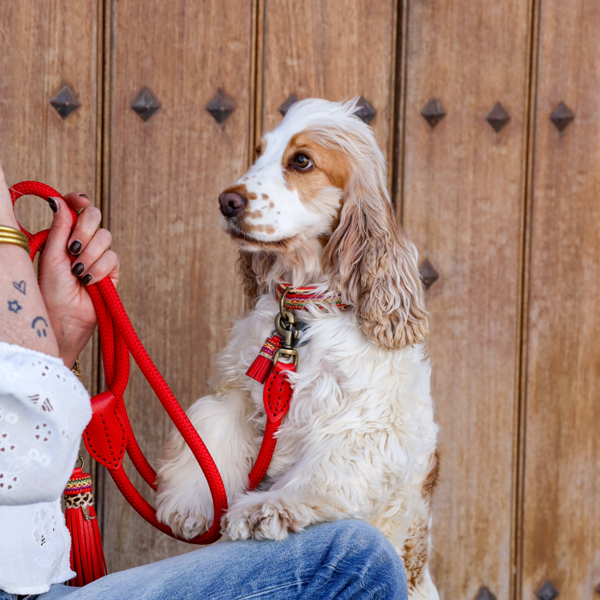 Dog with a Mission Gypsy XXS collare cane rosso 22-24 cm