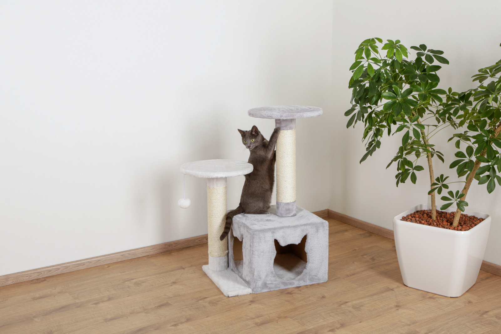 Kerbl Pet Saphir Light albero tiragraffi gatto con cuccia