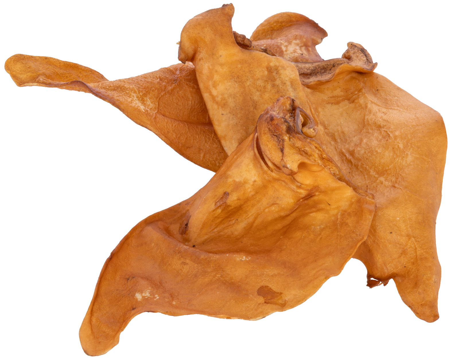 Kerbl Pet Beef Ears snack cane manzo magro