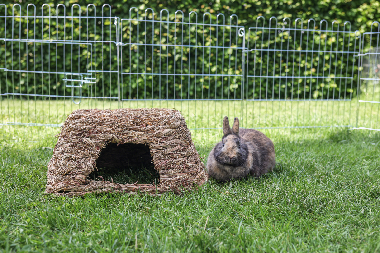 Kerbl Pet Grass House casetta fieno erba intrecciata roditori