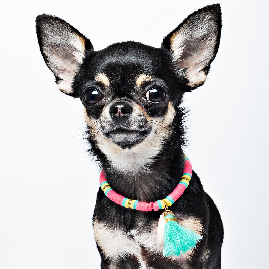 Dog with a Mission Bondi Beach collana cane XL rosa fino 60 cm