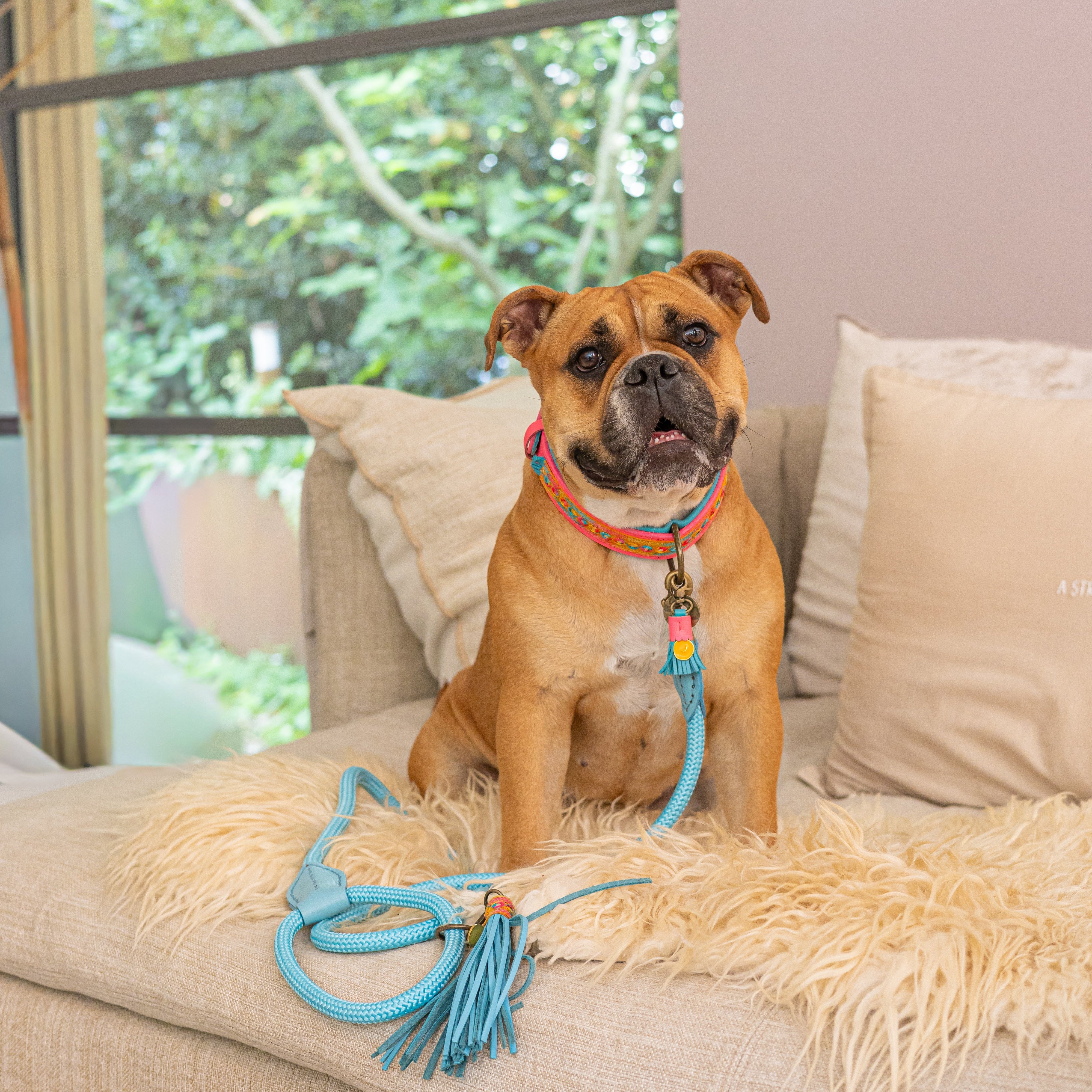 Dog with a Mission Classic Pacific L guinzaglio cane blu 155 cm