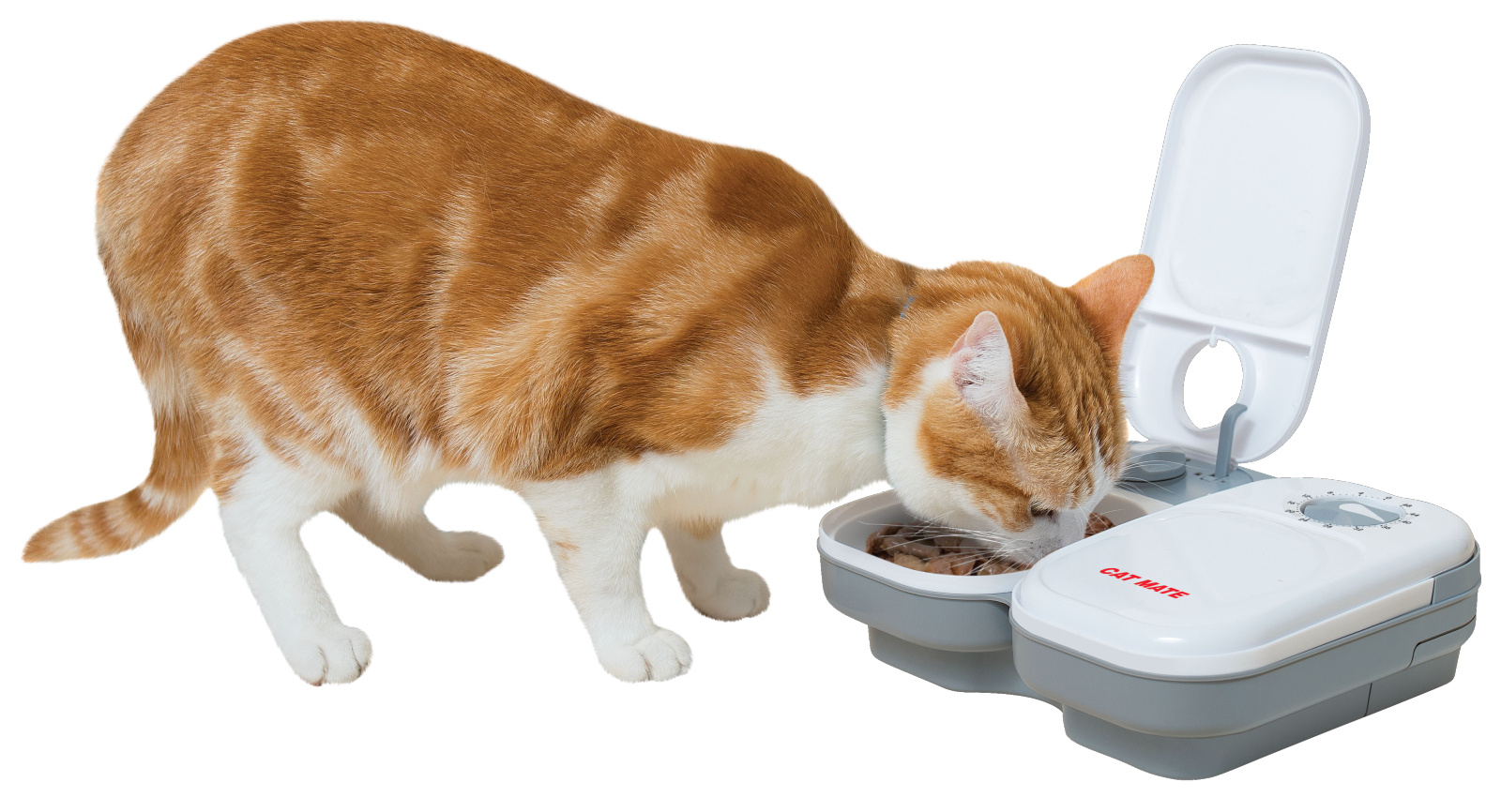 Cat Mate C200 mangiatoia automatica gatto 2 vaschette 400 g