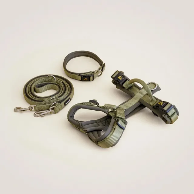Rudelkönig Bella Set Cane Khaki Guinzaglio Pettorina Collare