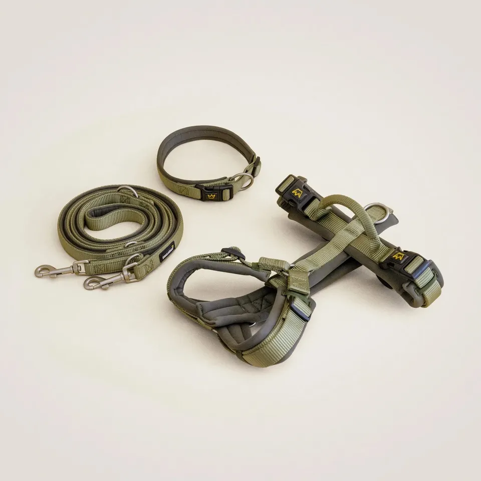 Rudelkönig Bella Set Cane Khaki Guinzaglio Pettorina Collare