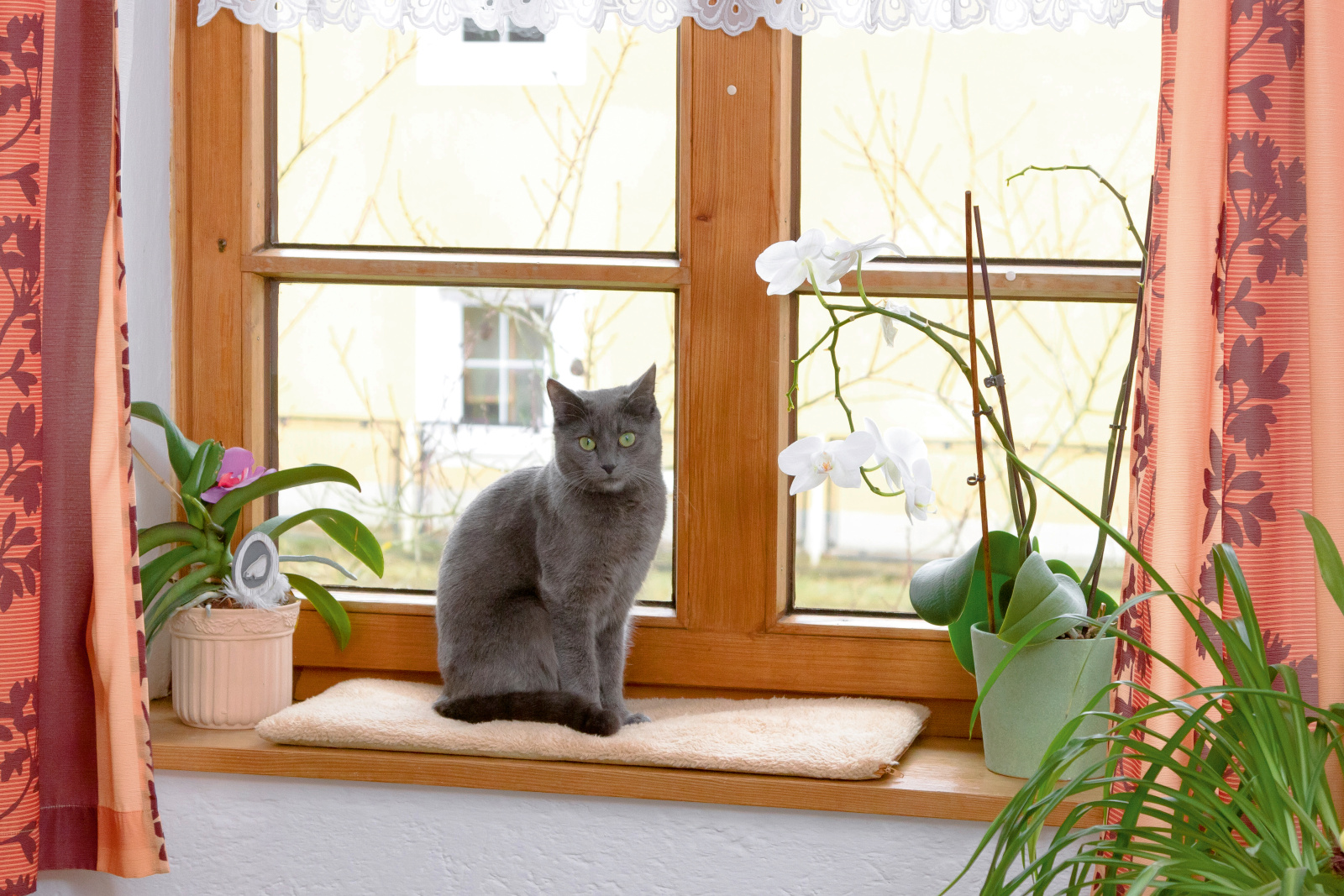 Kerbl Pet Window Cushion cuscino gatto finestra termico