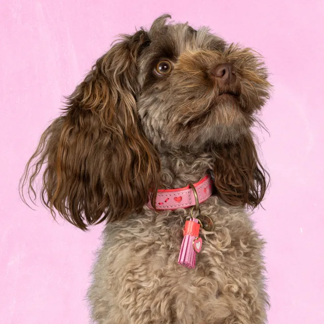 Dog with a Mission Sweety collare pelle cane XS rosa cuori
