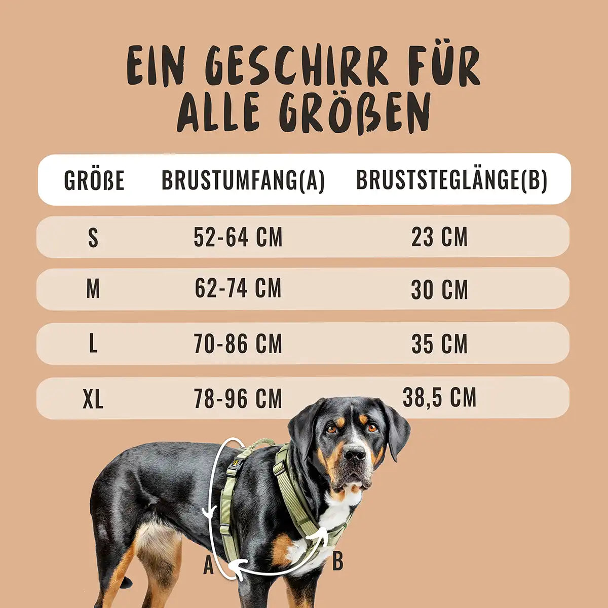 Rudelkönig Bella Set Cane Khaki Guinzaglio Pettorina Collare