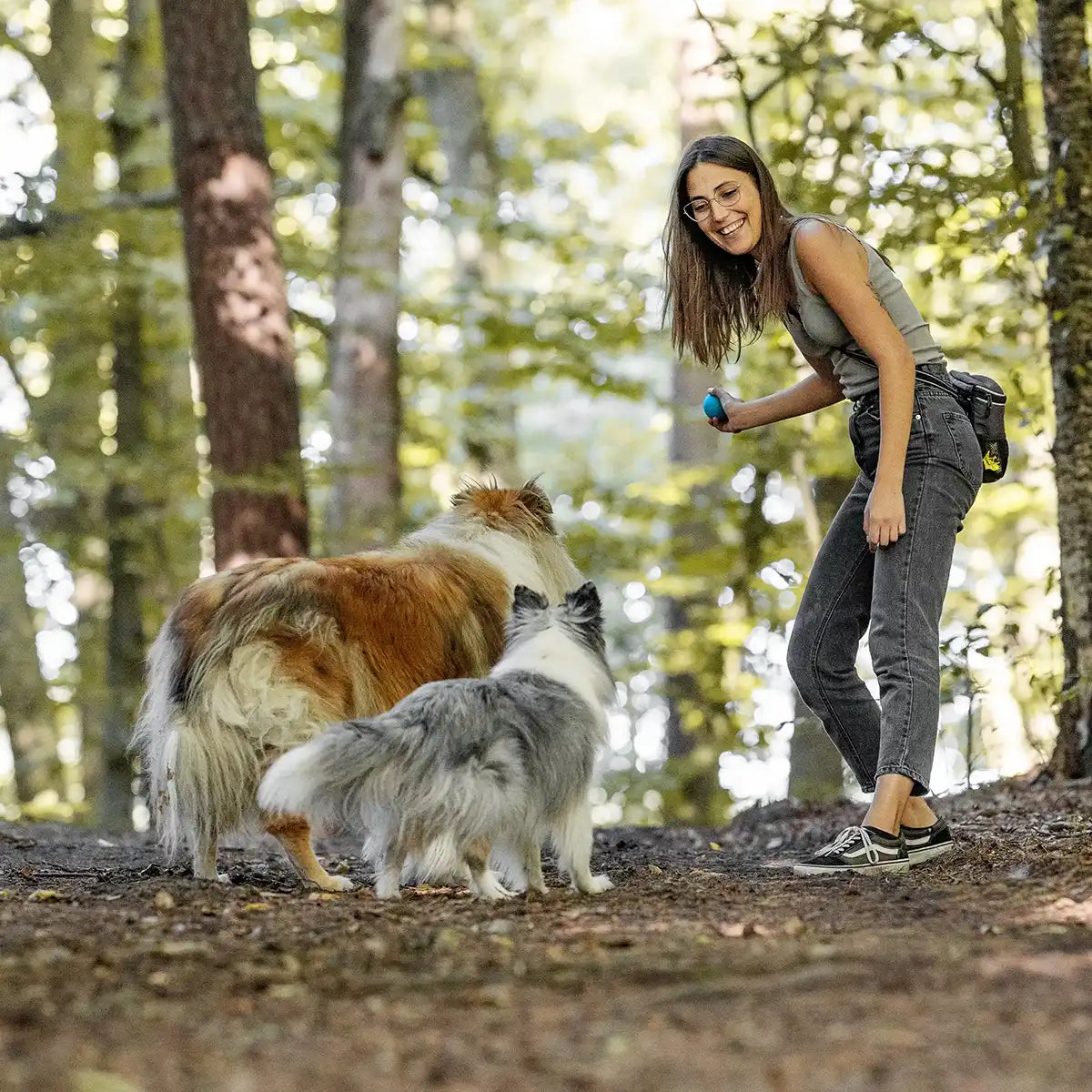 Rudelkönig palla cane caucciù arancione blu da riporto