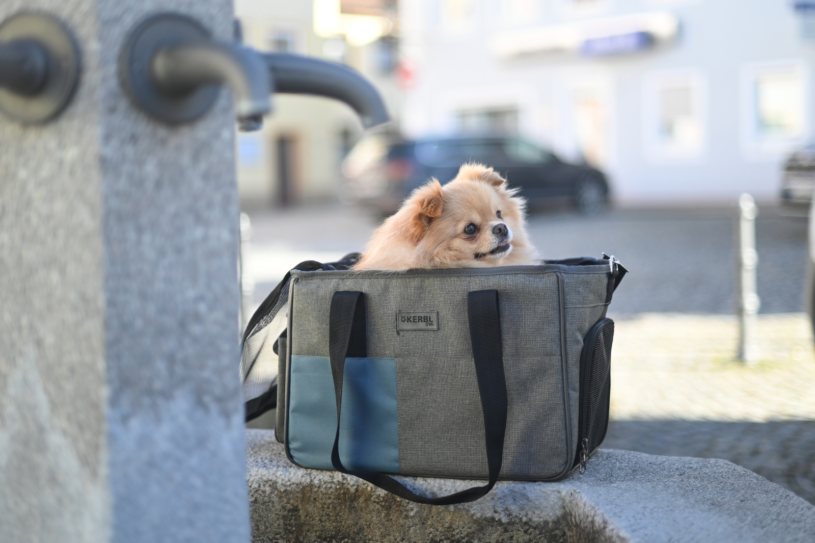Kerbl Pet Bag Vacation borsa trasporto cane gatto 15 kg Oxford