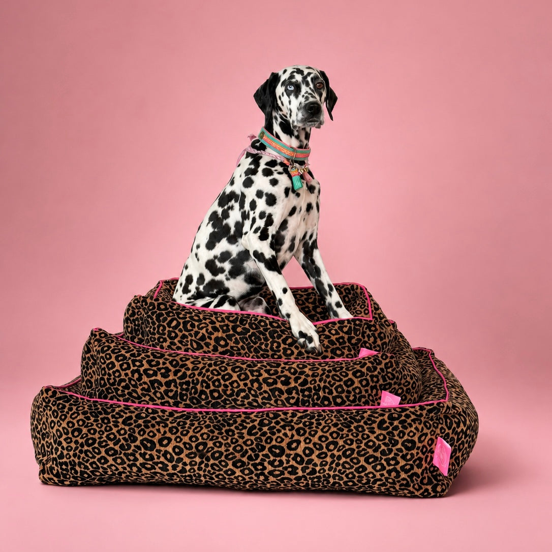 Dog with a Mission Lazy Leopard cuccia cane L leopardo velluto