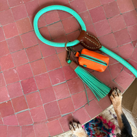 Dog with a Mission Buddy porta sacchetti cane arancione