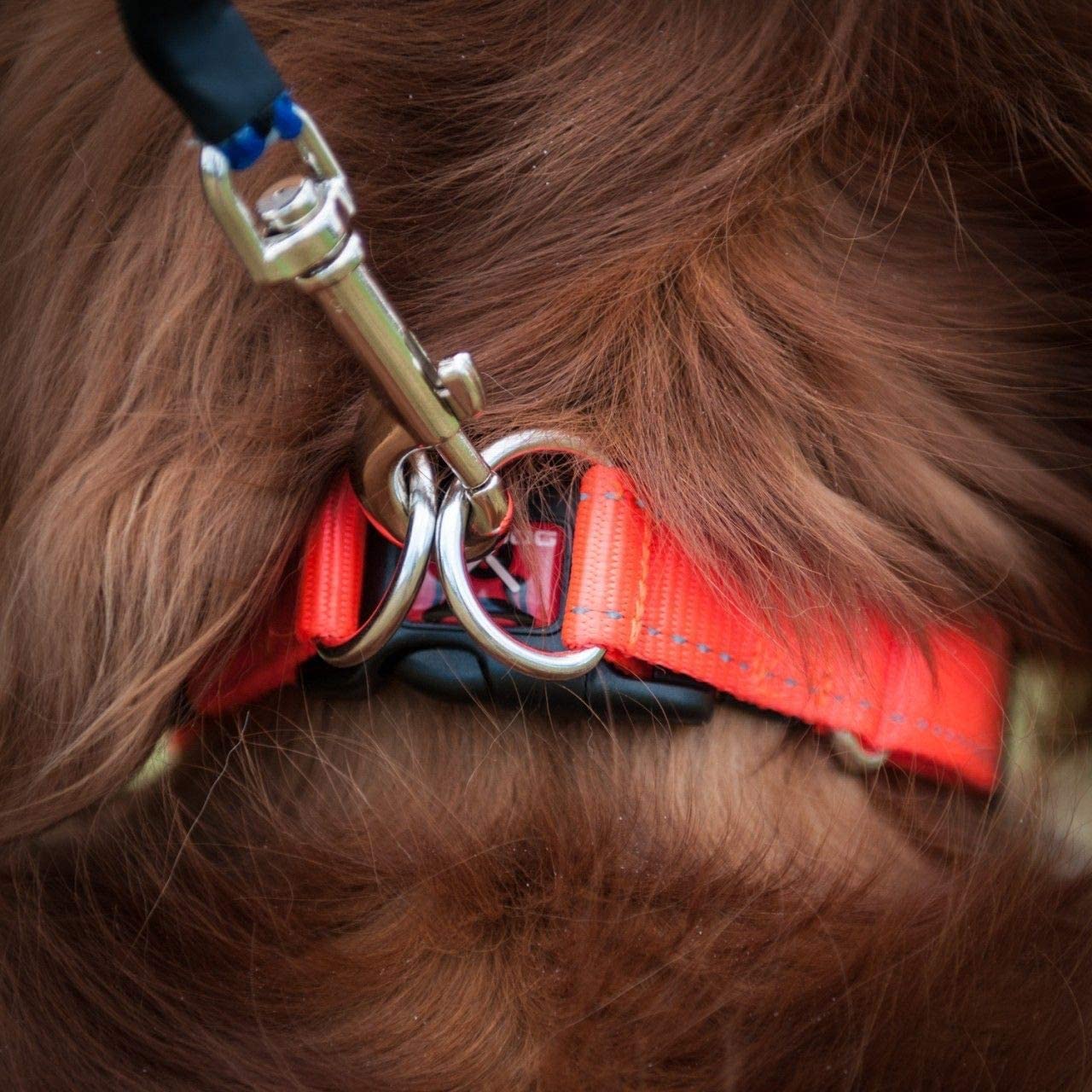 EzyDog Double Up Collare per Cani Small Rosa Riflettente