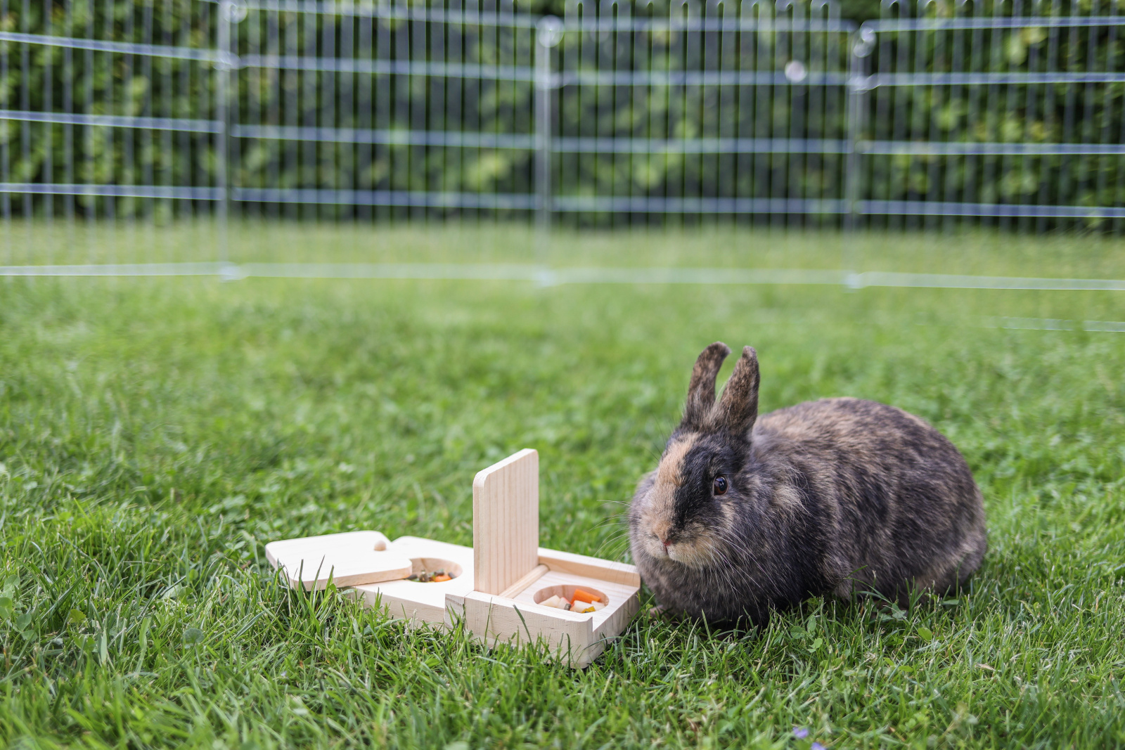 Kerbl Pet Snackbox gioco roditori intelligenza snack