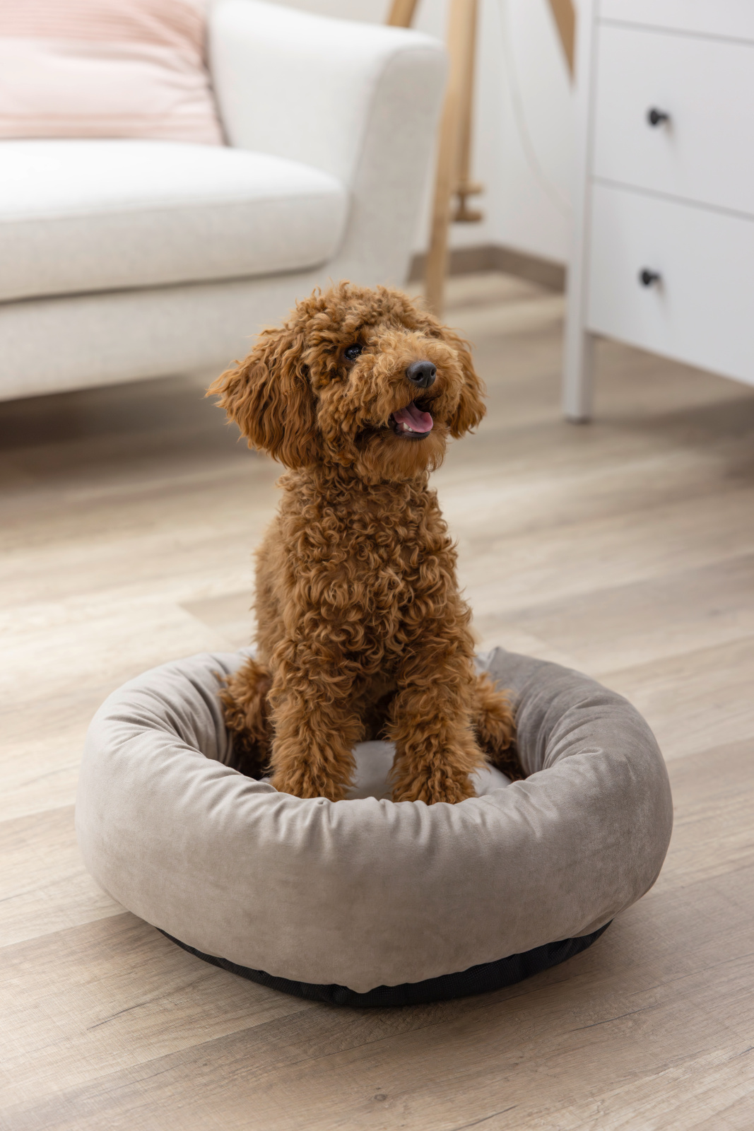 Kerbl Pet Snugly Bed Velvet cuccia cane e gatto tonda