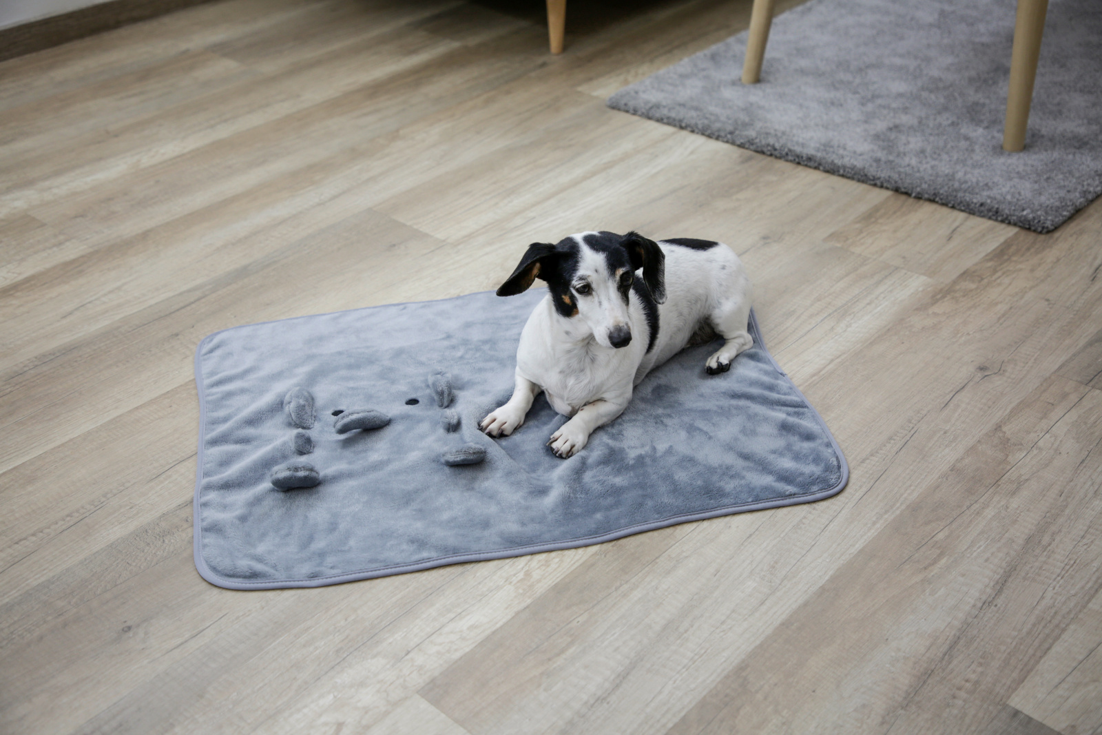 Kerbl Pet Puppy Blanket coperta pile per cani e cuccioli