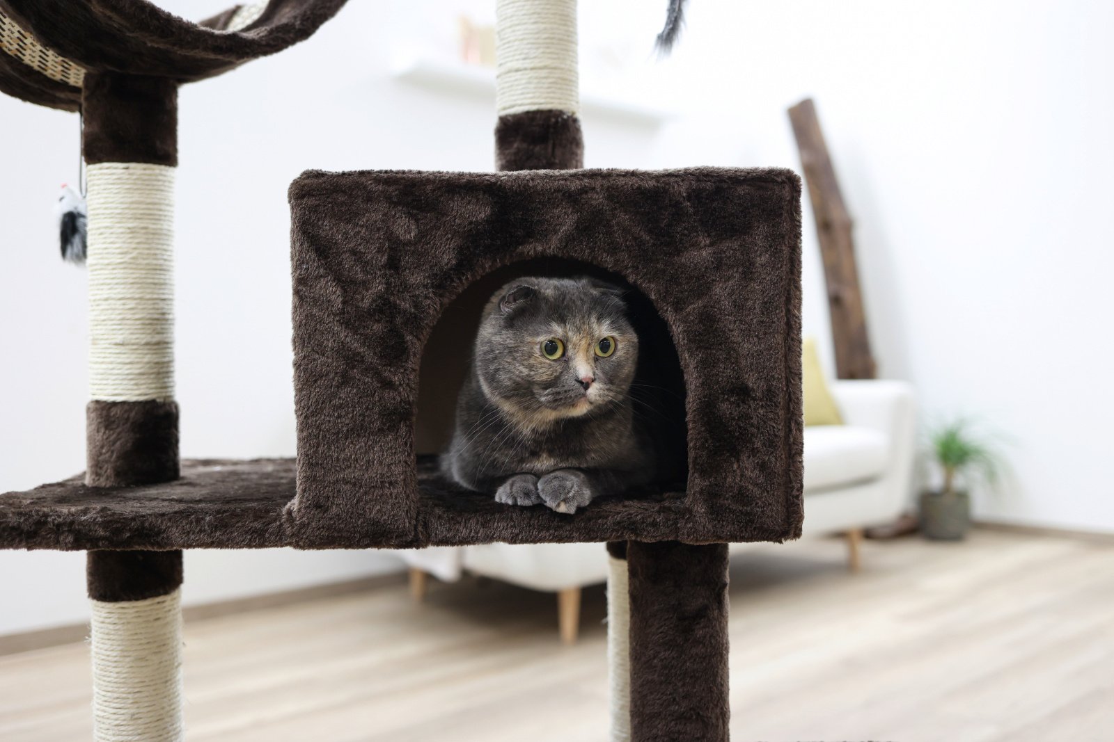 Kerbl Pet Cat Scratch Safari Big albero tiragraffi con cuccia