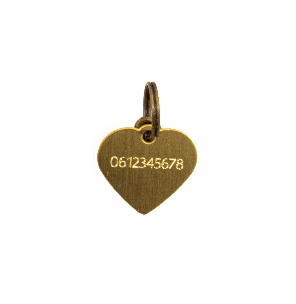 Dog with a Mission Penning medaglietta cane cuore oro S