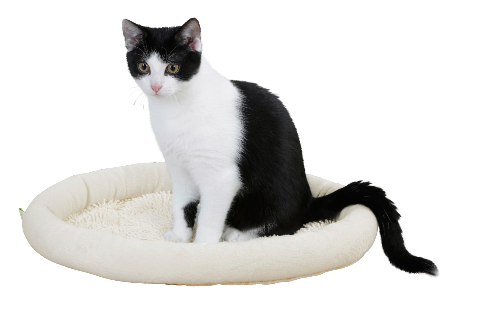 Kerbl Pet Snugly Bed Sweety cuccia gatto microfibra antiscivolo