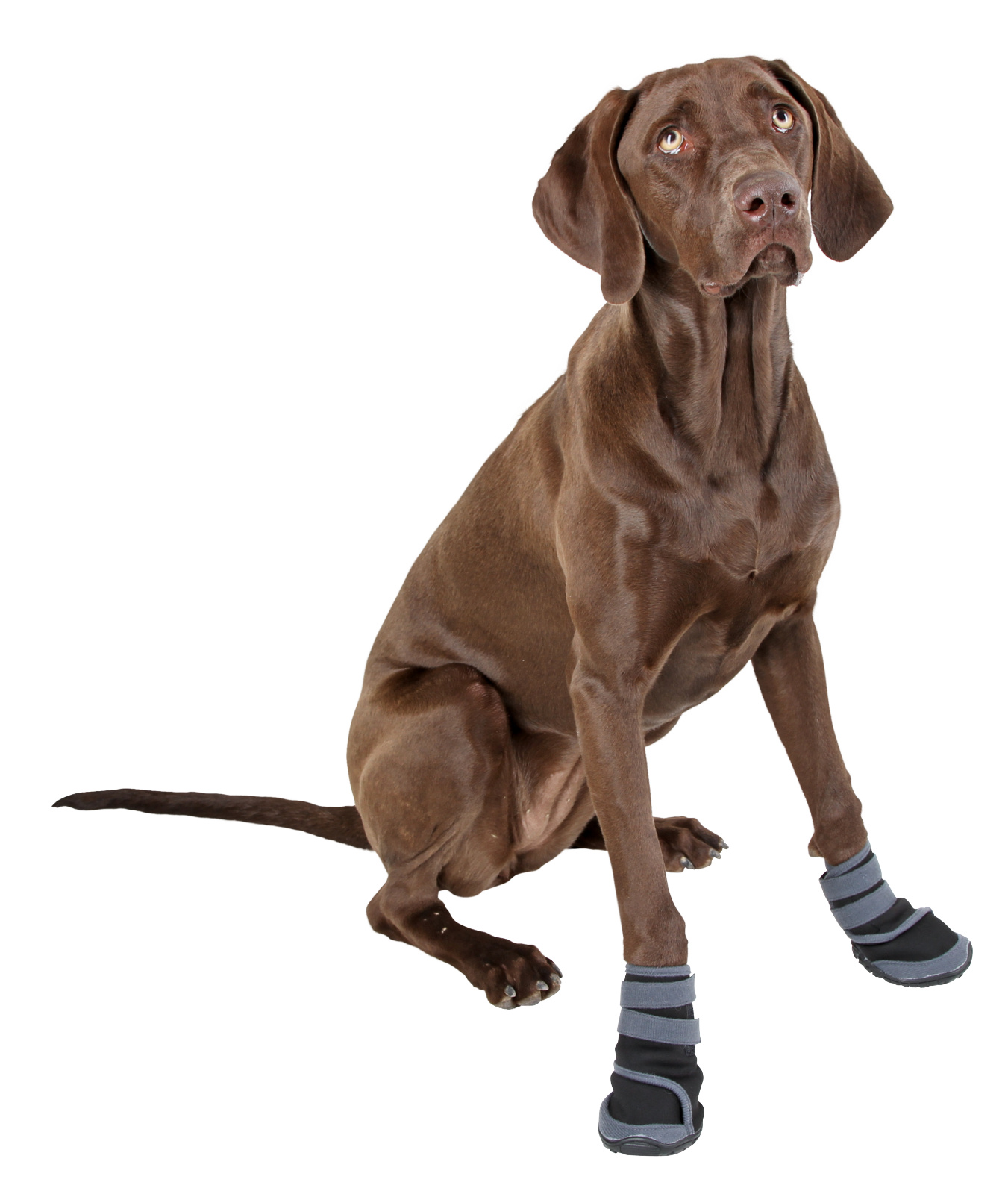 Kerbl Pet Paw Protector Active scarpette per cani