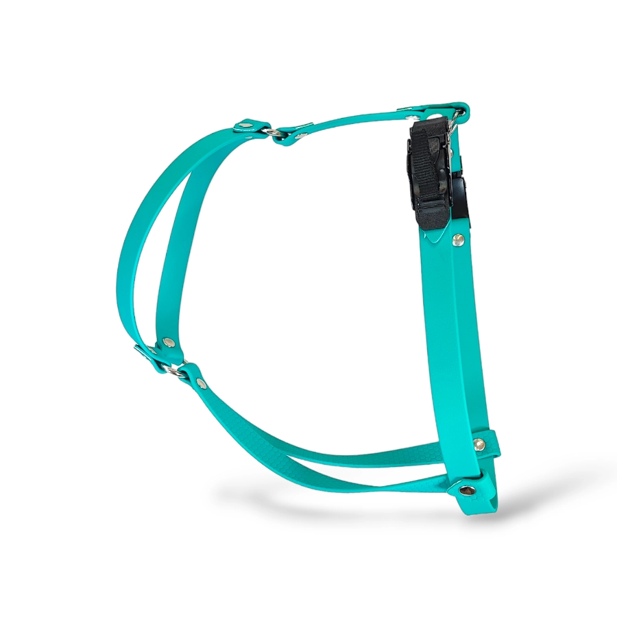 Toscani Waterproof pettorina H cane classic impermeabile