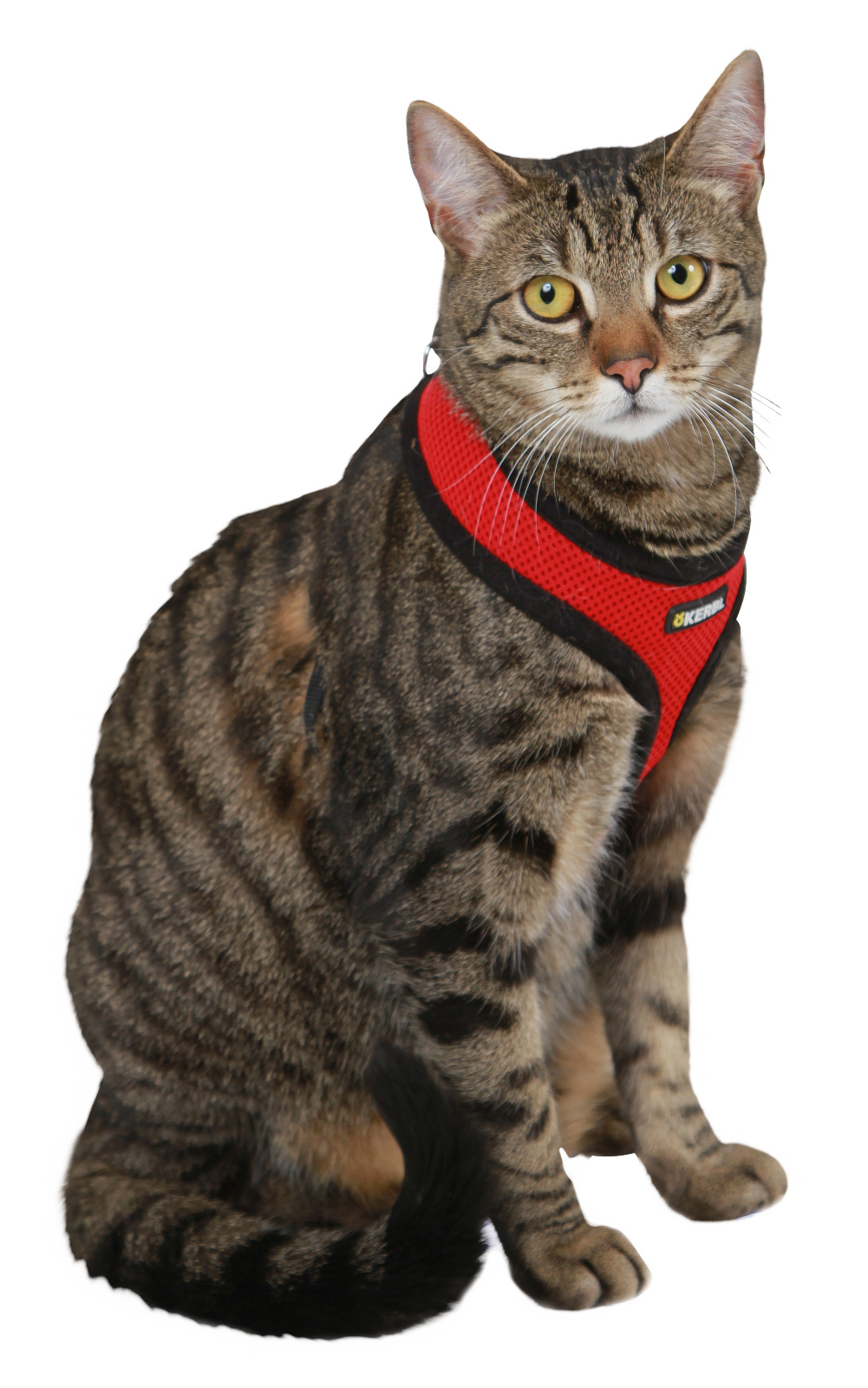 Kerbl Pet Cat Harness Active pettorina gatto mesh con guinzaglio