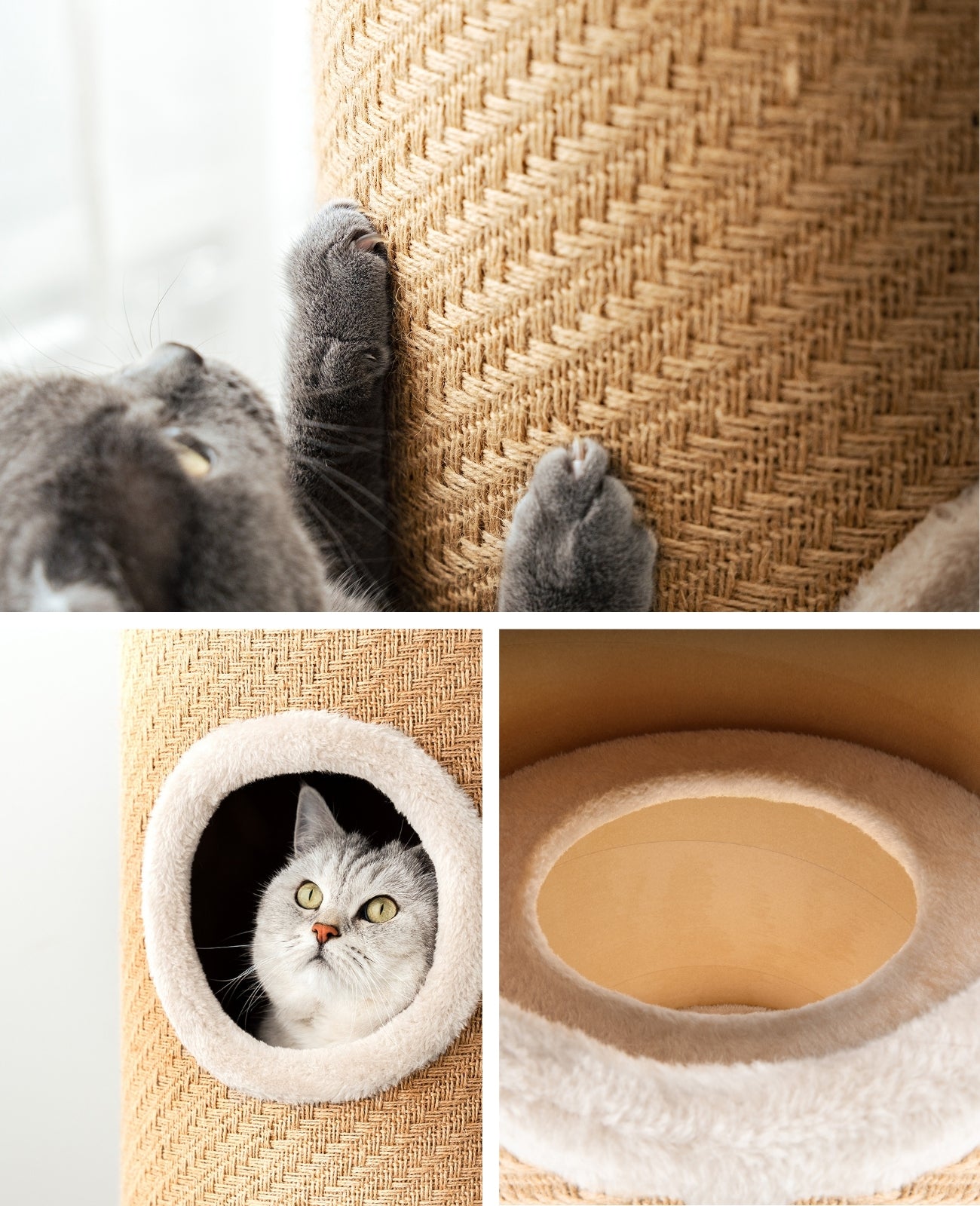 Lionto Kratztonne tiragraffi torre juta 50 cm per gatti
