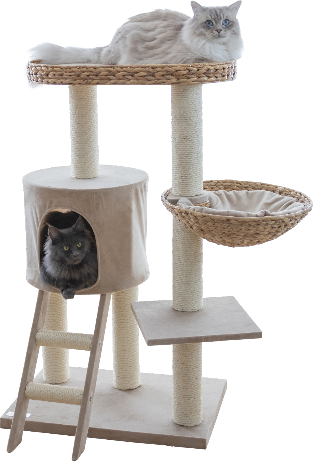 Kerbl Cat Scratch Banana Leaf Waxy tiragraffi gatto