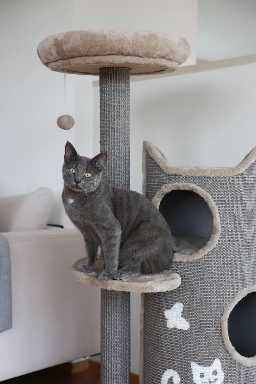 Kerbl Pet Tiana tiragraffi gatto botte sisal con cuscini