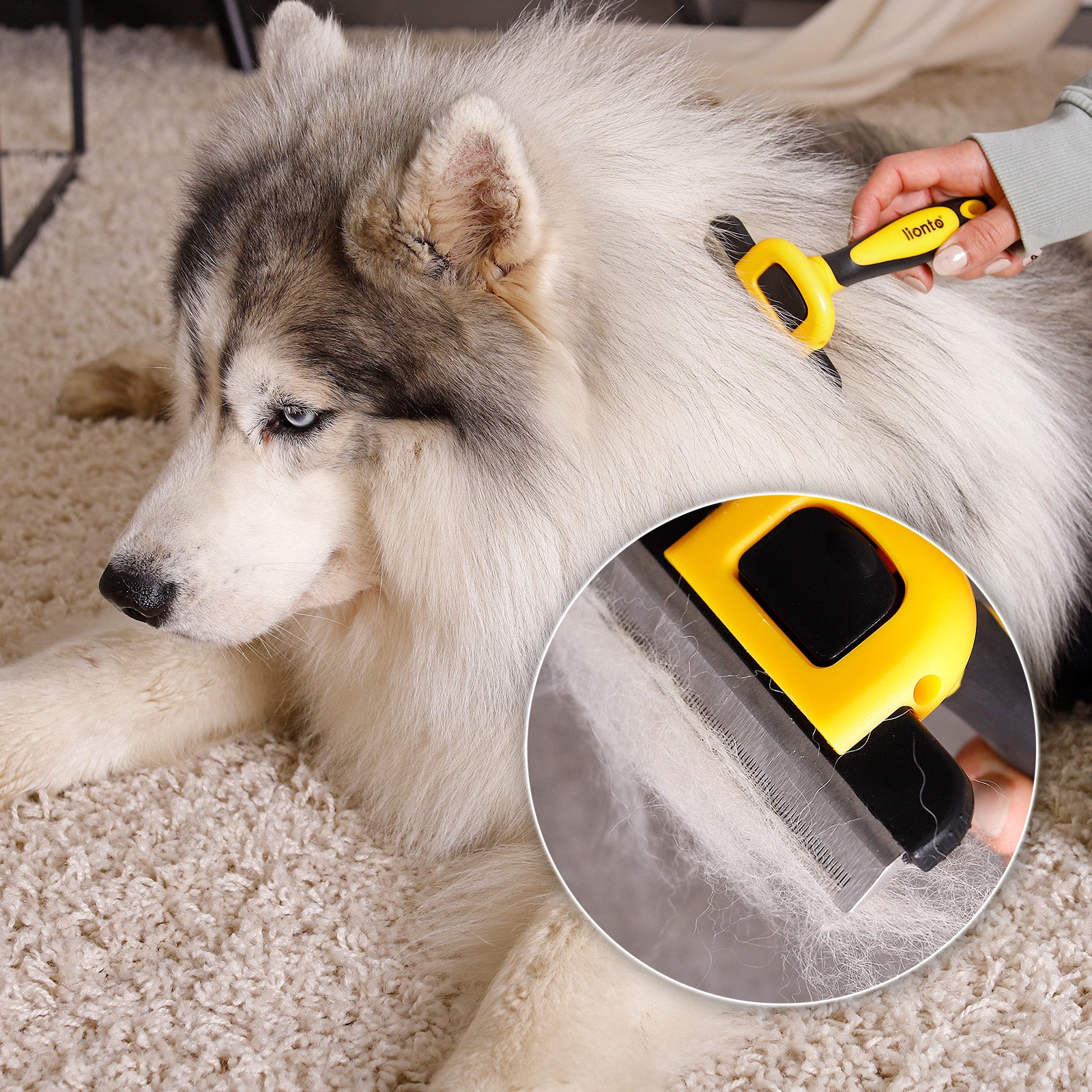 Lionto Spazzola Autopulente 18 cm Toelettatura Cani Gatti