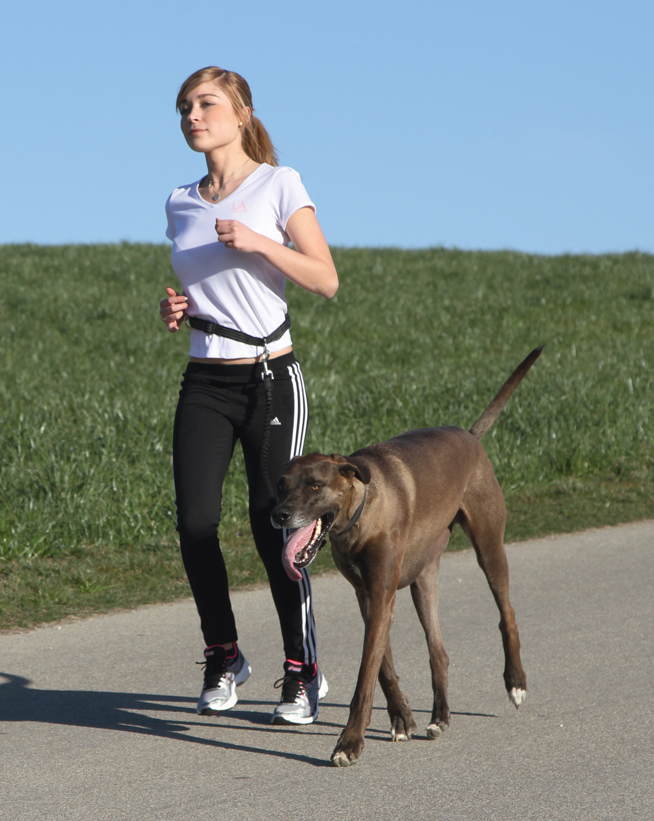 Kerbl Pet Jogging guinzaglio corsa cane con cintura