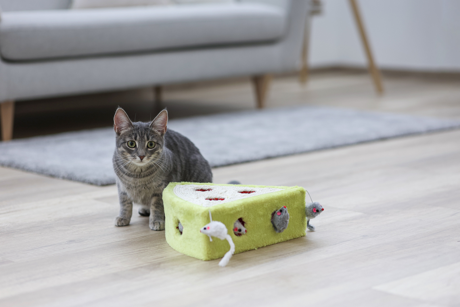Kerbl Cat Toy Sisal Toy Cheesy gioco gatto sisal