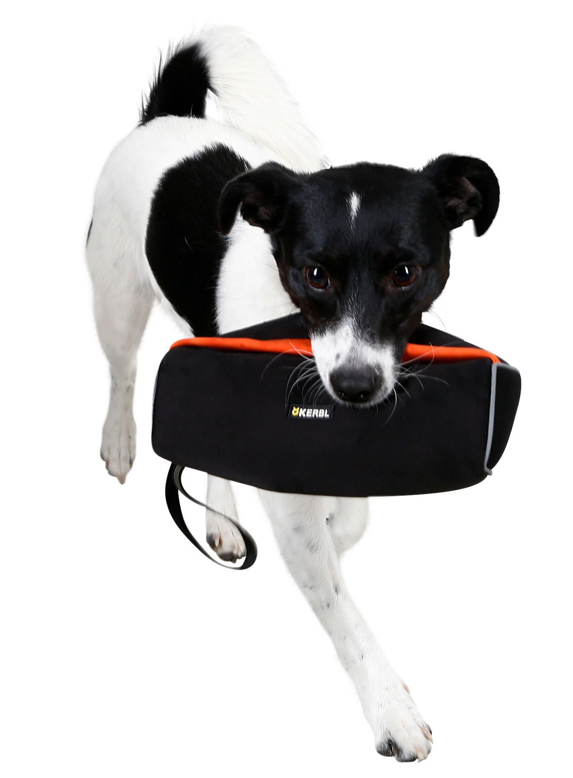 Kerbl Pet Snack Dummy Riporto Addestramento Cane Galleggiante