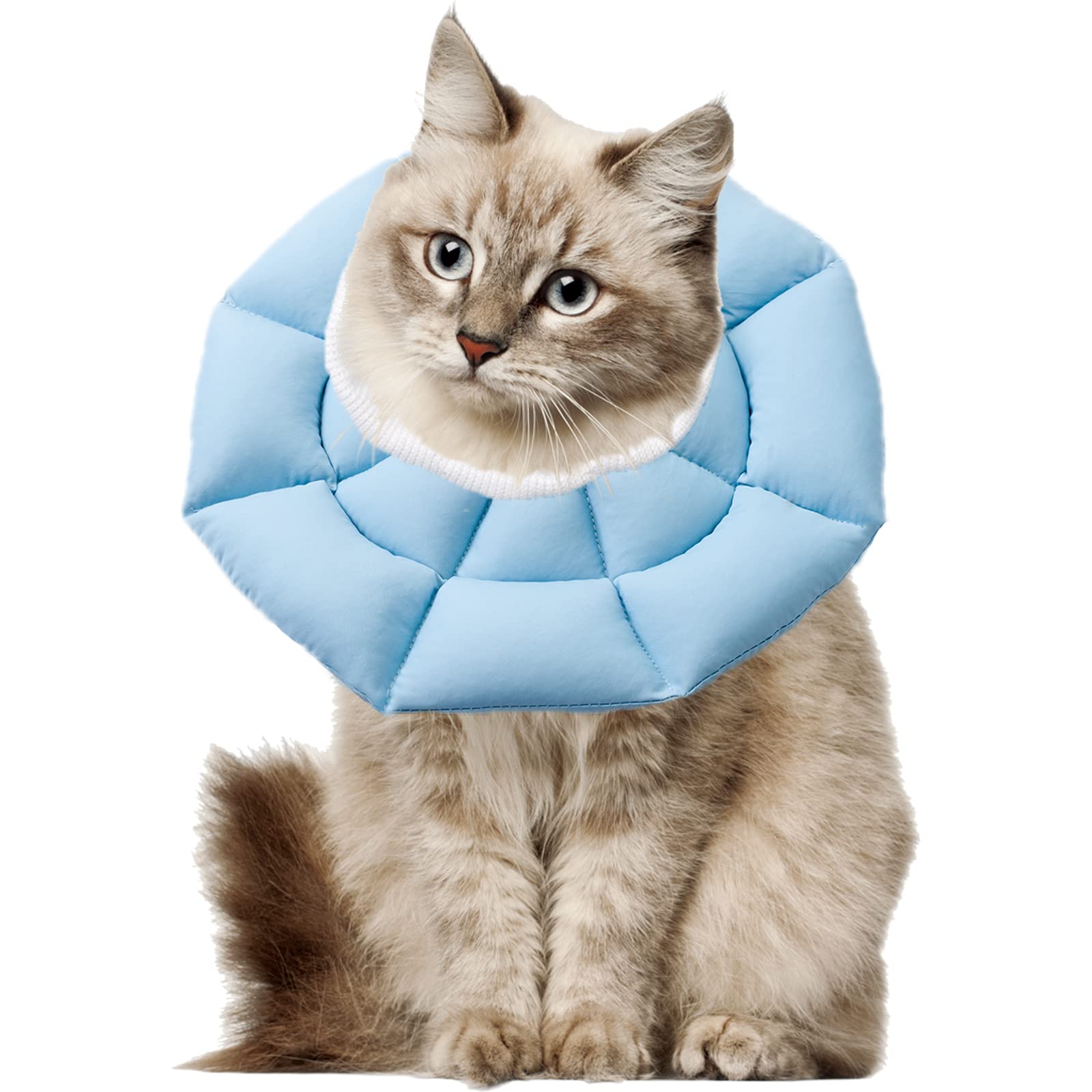 OHCOZZY Collare Elisabettiano Gatto M Azzurro Cotone