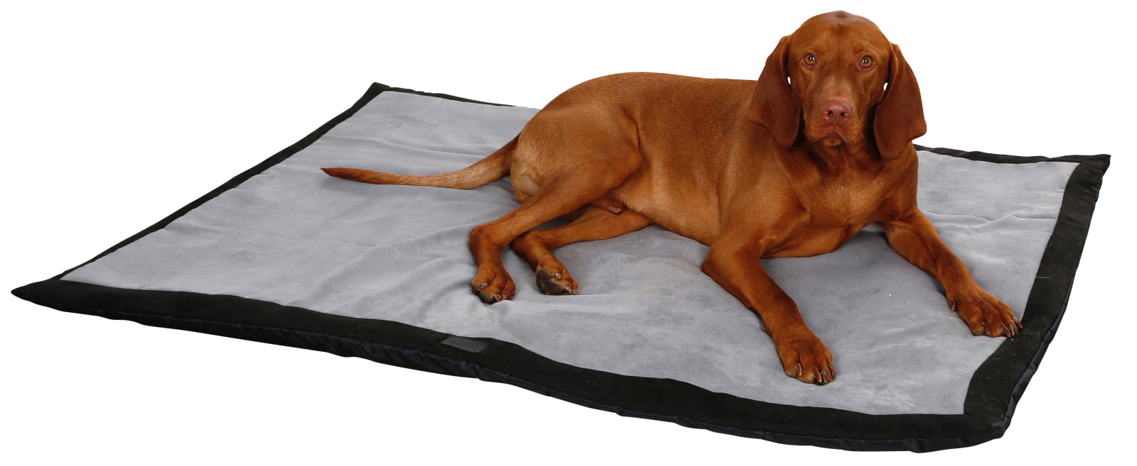 Kerbl Pet Dog Trip coperta cane viaggio impermeabile