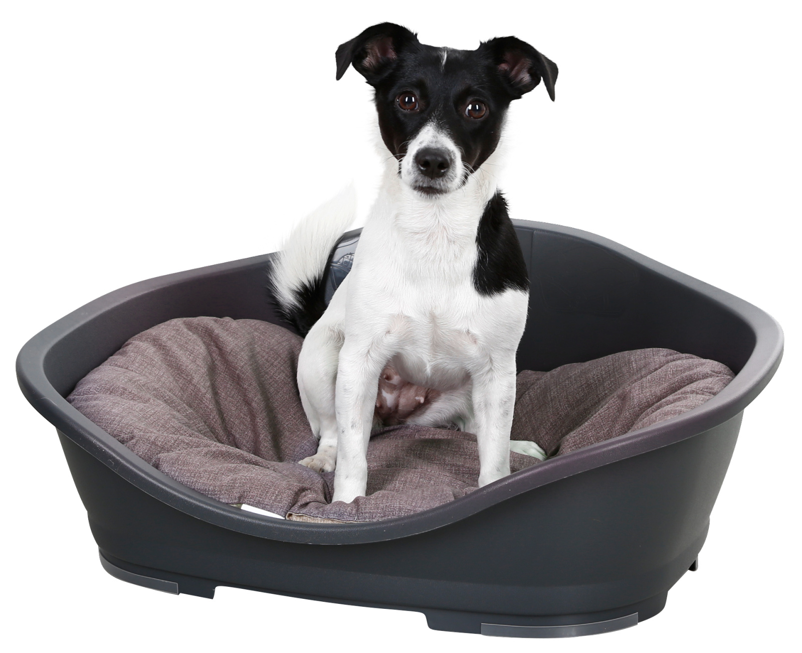 Kerbl Pet Loneta cuscino cane ovale cotone lavabile