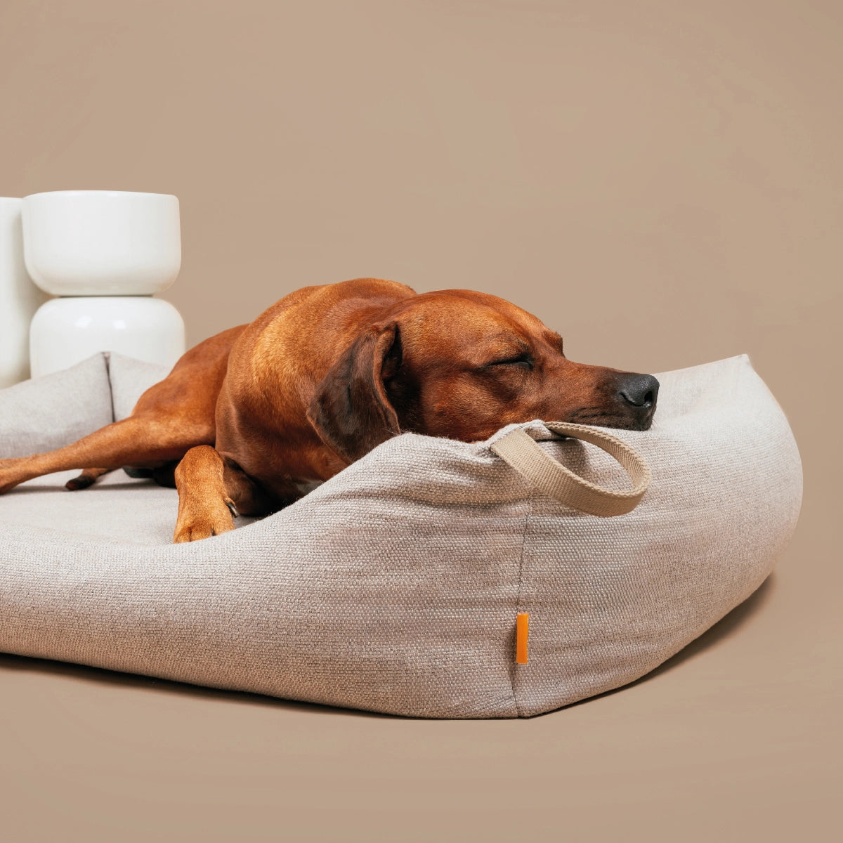Rudelkönig Hundebetten Koye cuccia cane M Beige ortopedica