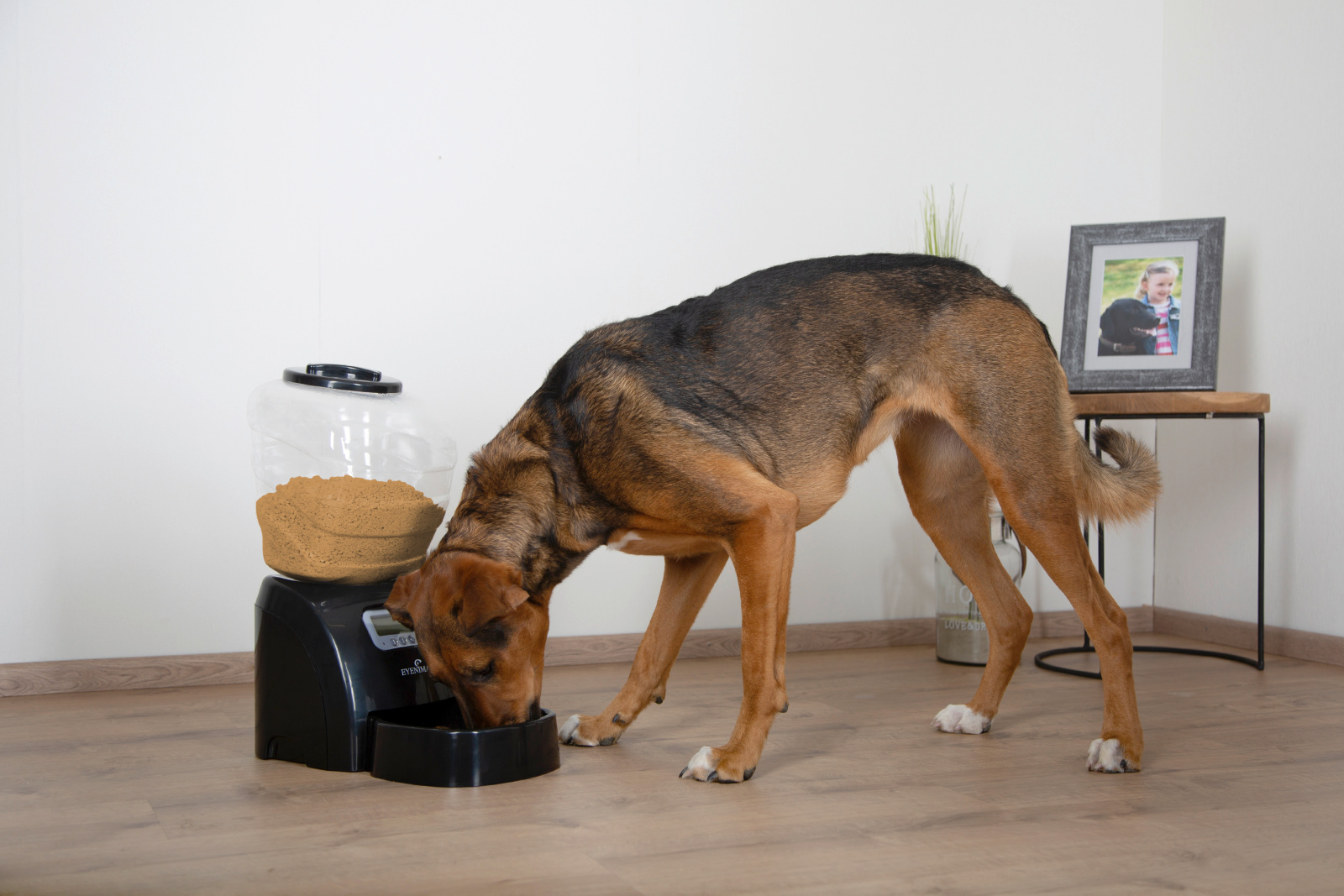 Kerbl Pet Electronic Pet Feeder distributore crocchette con display