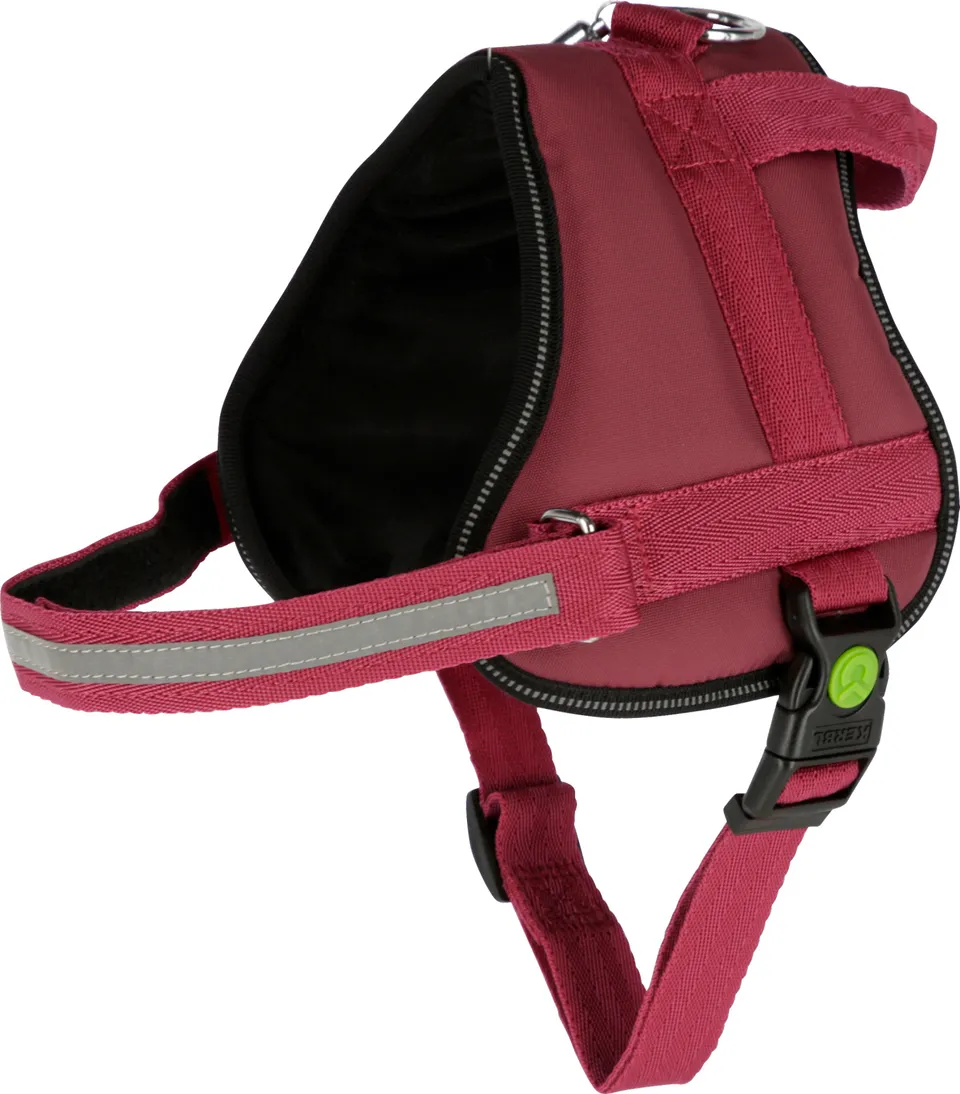 Kerbl Maestro 2.0 pettorina cane regolabile riflettente