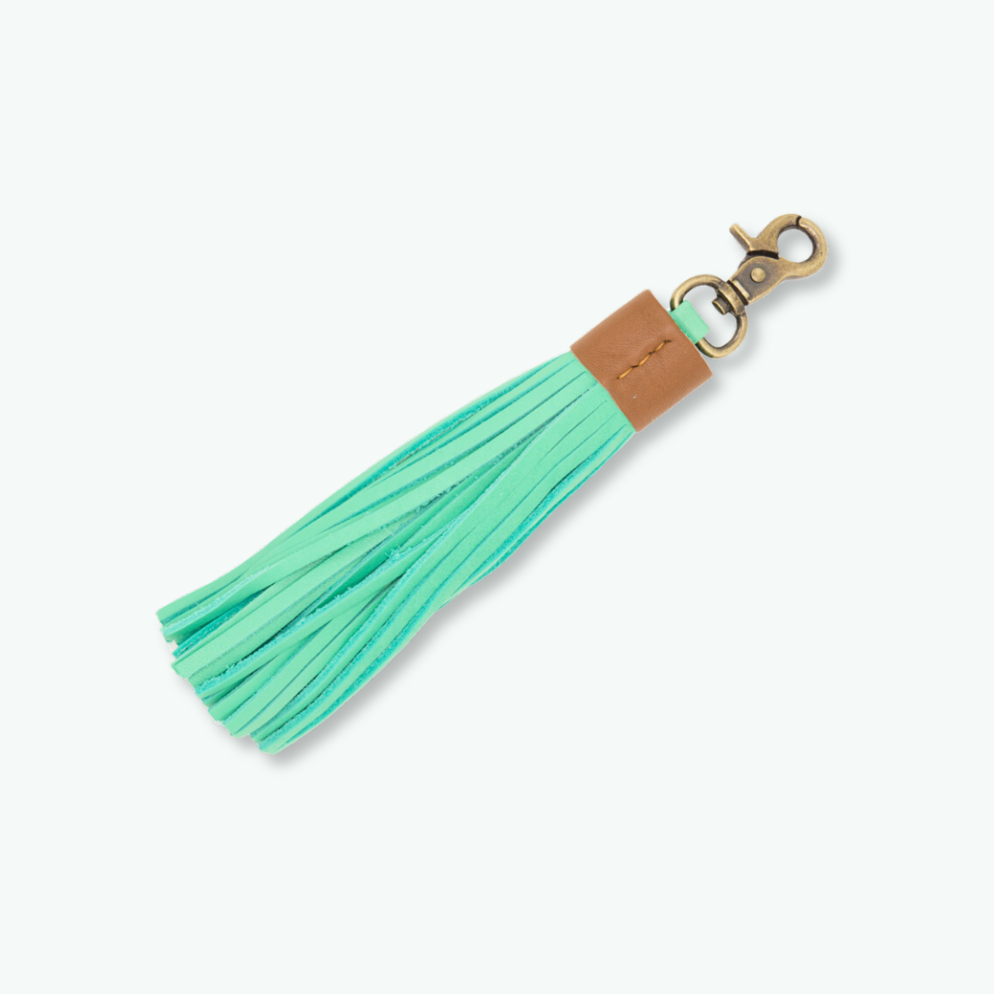 Dog with a Mission Jade Charm ciondolo pelle turchese